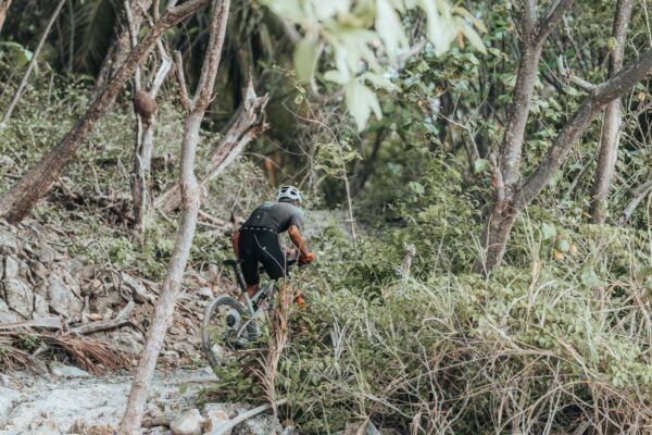 WILD NOSARA EXPERIENCE