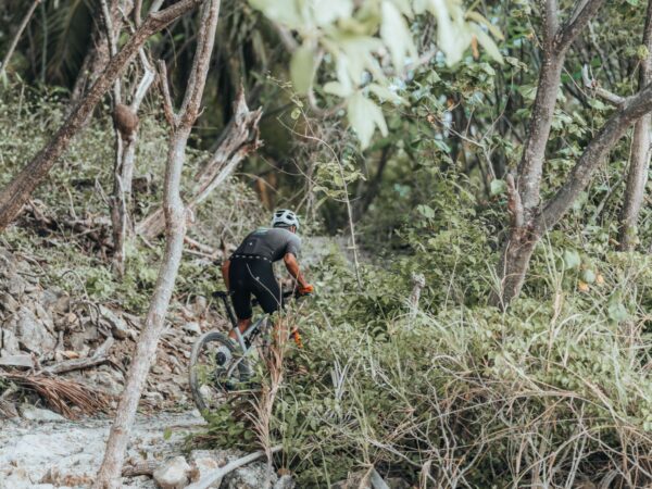 WILD NOSARA EXPERIENCE